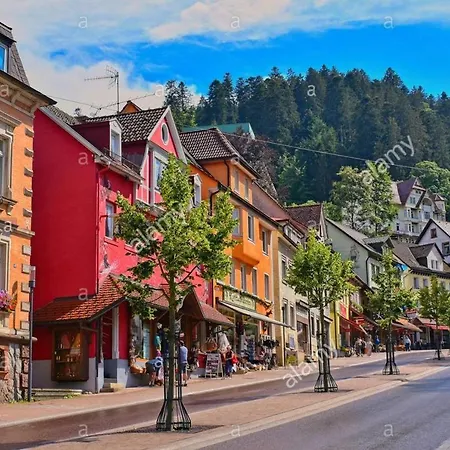 Dm * Triberg im Schwarzwald